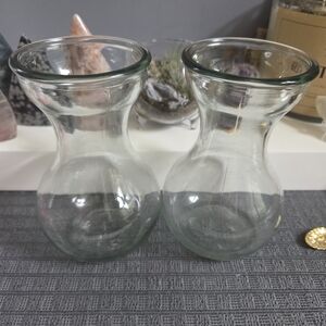 Elegant Clear Glass Propagation/Air Plant Vases - Set of 2